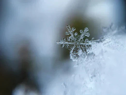 Frostige Temperaturen Eiskristall